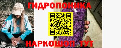 гашик Будённовск