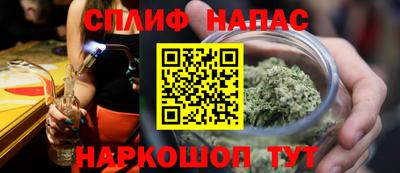гашик Будённовск