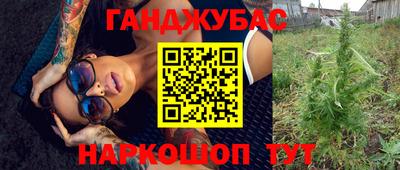 гашик Будённовск