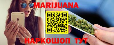 гашик Будённовск