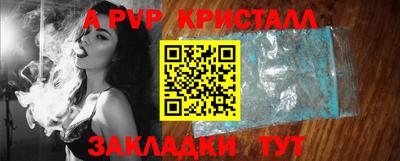 гашик Будённовск