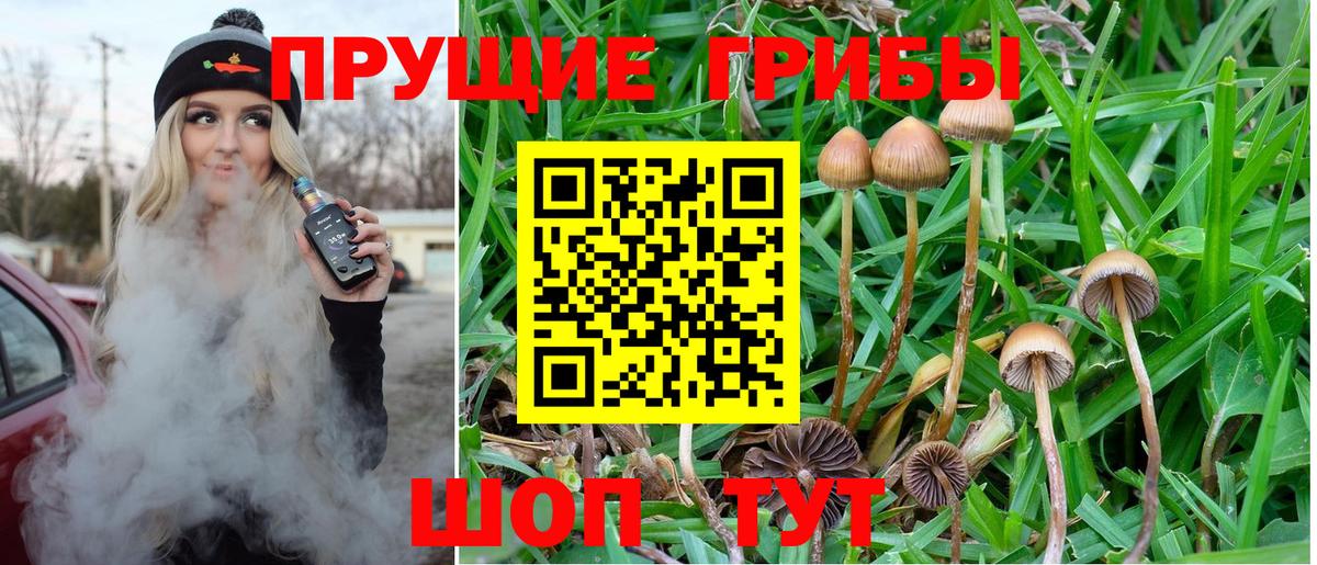 Тельмана  Псилоцибиновые грибы ЛСД  Вход с VPN 