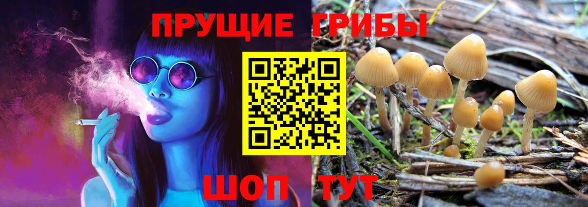 Галлюциногенные грибы мухоморы Тельмана